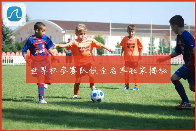 世界杯参赛队伍全名单独家揭秘