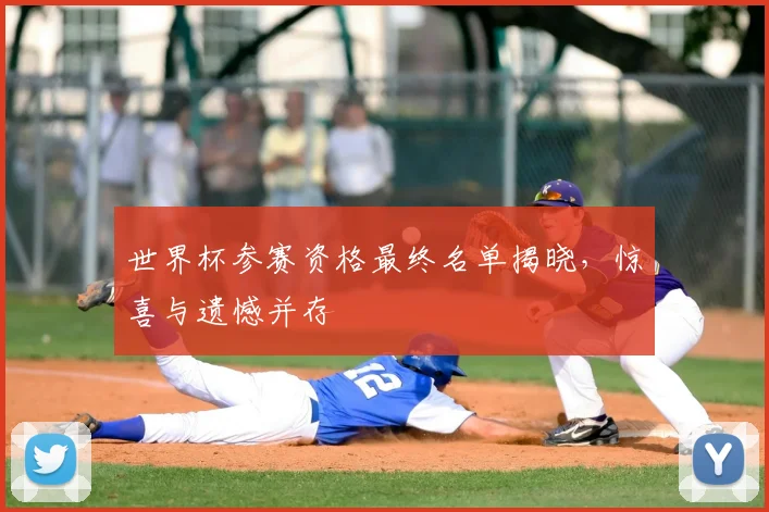 世界杯参赛资格最终名单揭晓,惊喜与遗憾并存