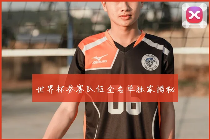 世界杯参赛队伍全名单独家揭秘