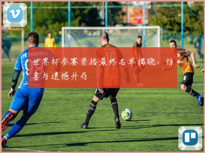 世界杯参赛资格最终名单揭晓，惊喜与遗憾并存