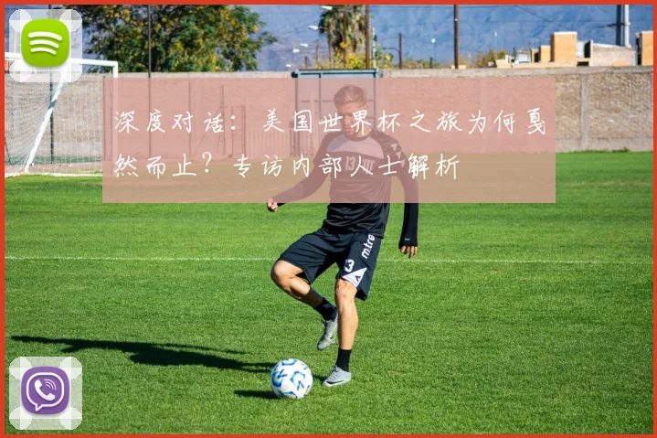 深度对话：美国世界杯之旅为何戛然而止？专访内部人士解析