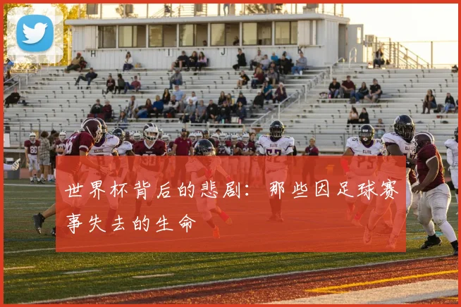 世界杯背后的悲剧：那些因足球赛事失去的生命