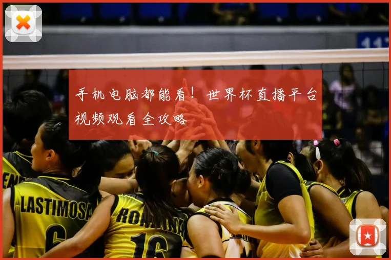 手机电脑都能看！世界杯直播平台视频观看全攻略